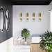 Mini Acrylic Floating Wall Shelves, 8-Pack – Yosham