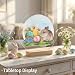 12-Inch Clear Acrylic Round Sheets, 6-Pack – Yosham