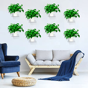 Mini Acrylic Floating Wall Shelves, 8-Pack – Yosham