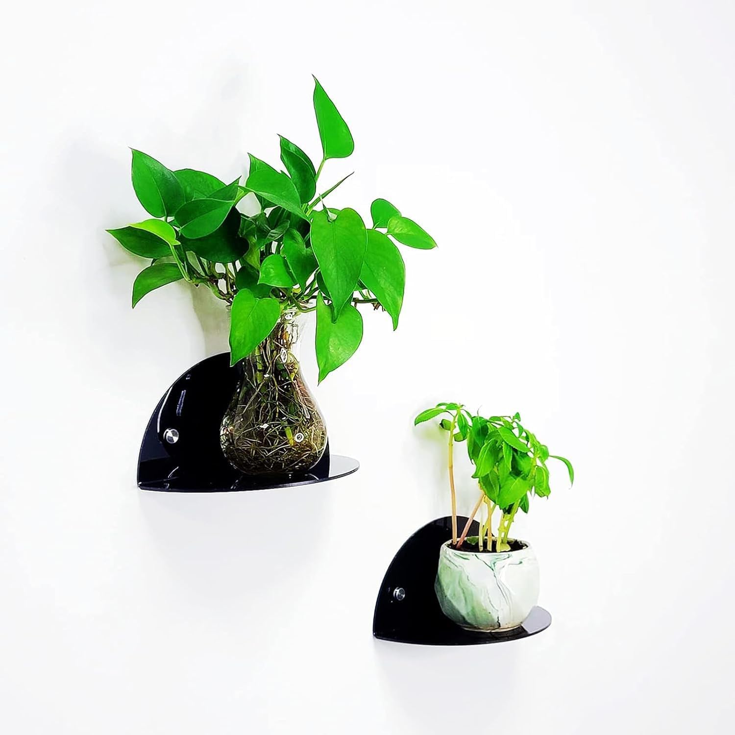 Black Acrylic Round Floating Wall Shelves, Pack of 2 – view 5