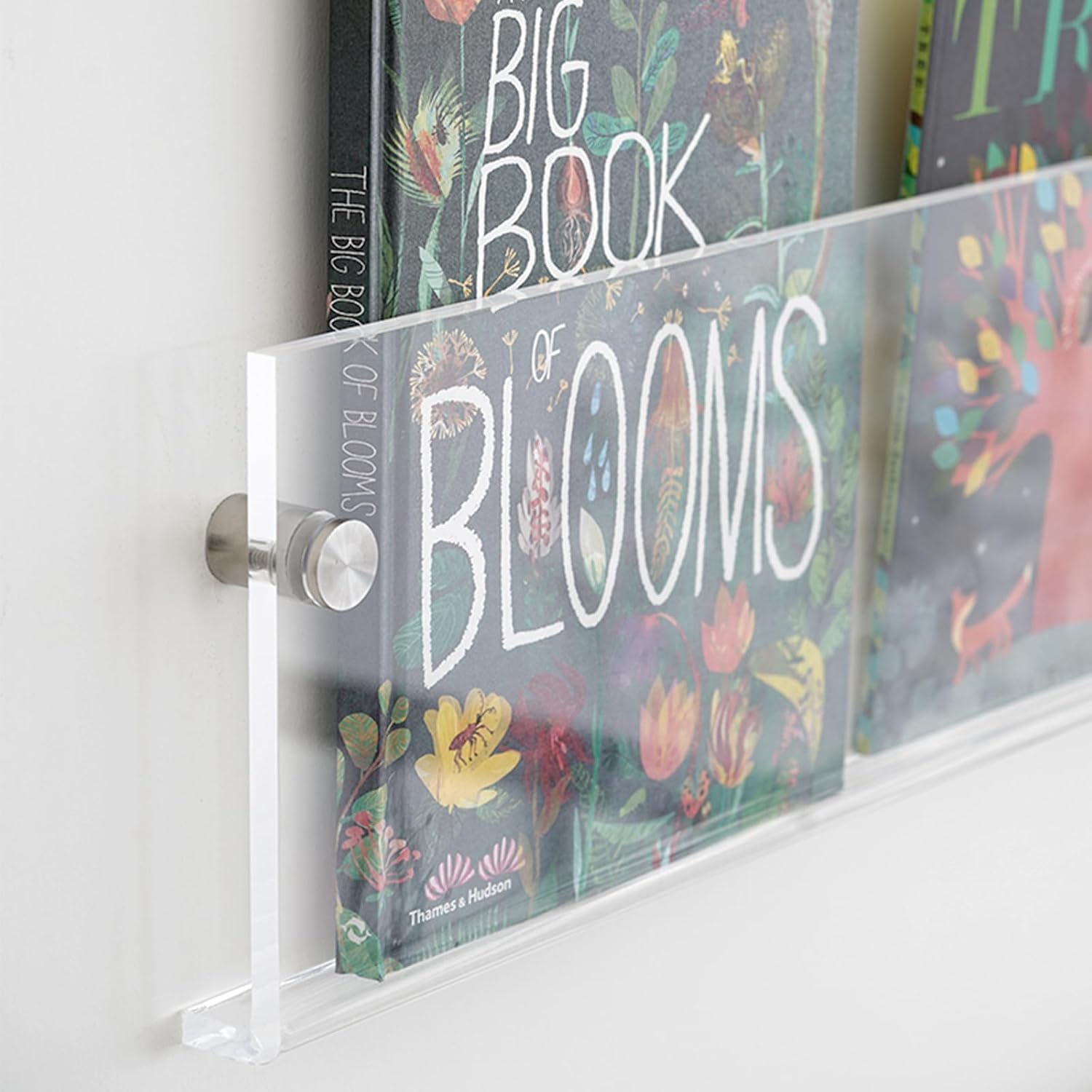 Clear Acrylic Wall-Mount Magazine & Book Holder, 17 Inch, Pack of 2 – view 4