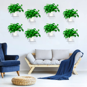 Mini Acrylic Floating Wall Shelves, 8-Pack – Yosham