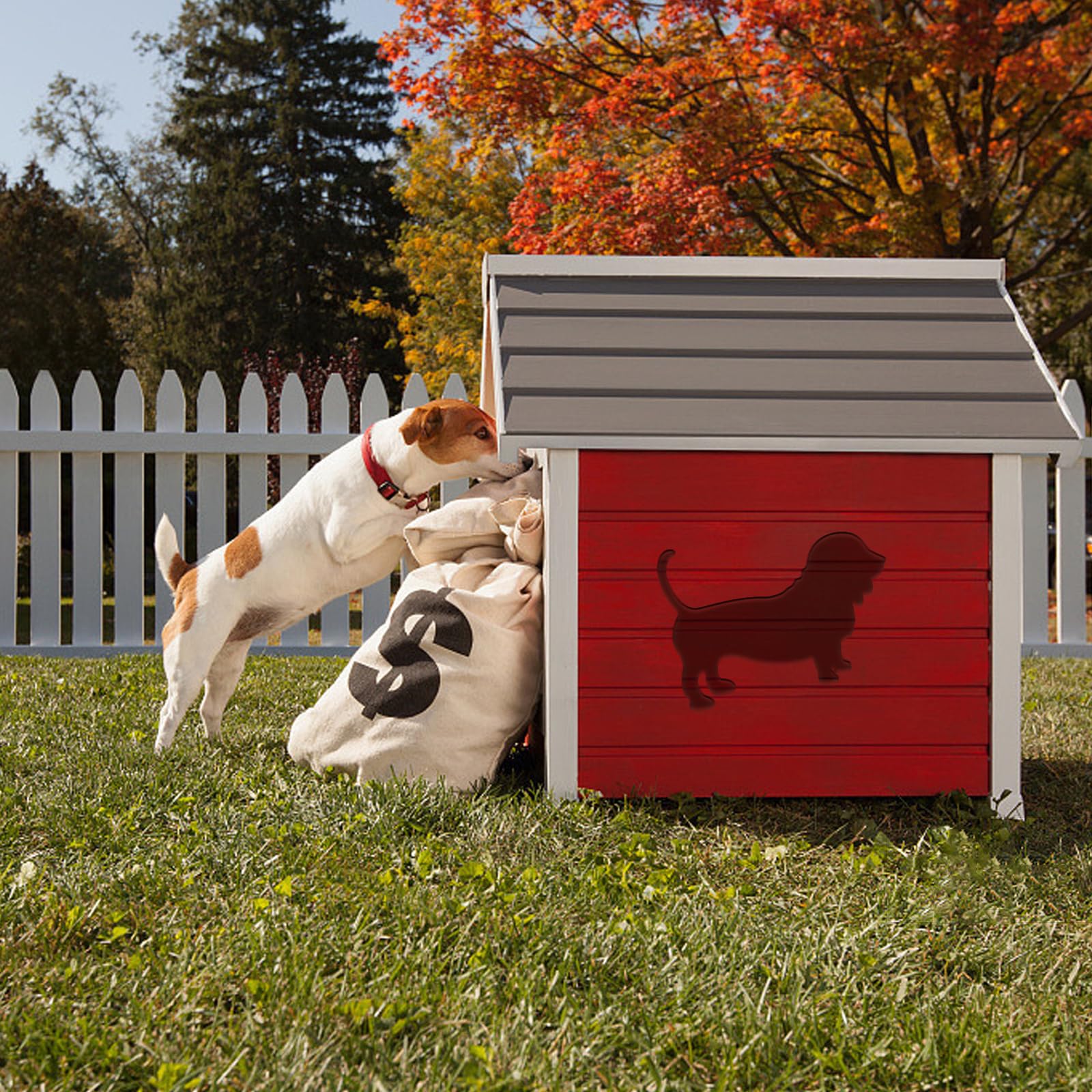 Acrylic Dog Router Inlay Template for Woodworking — Dog – view 5