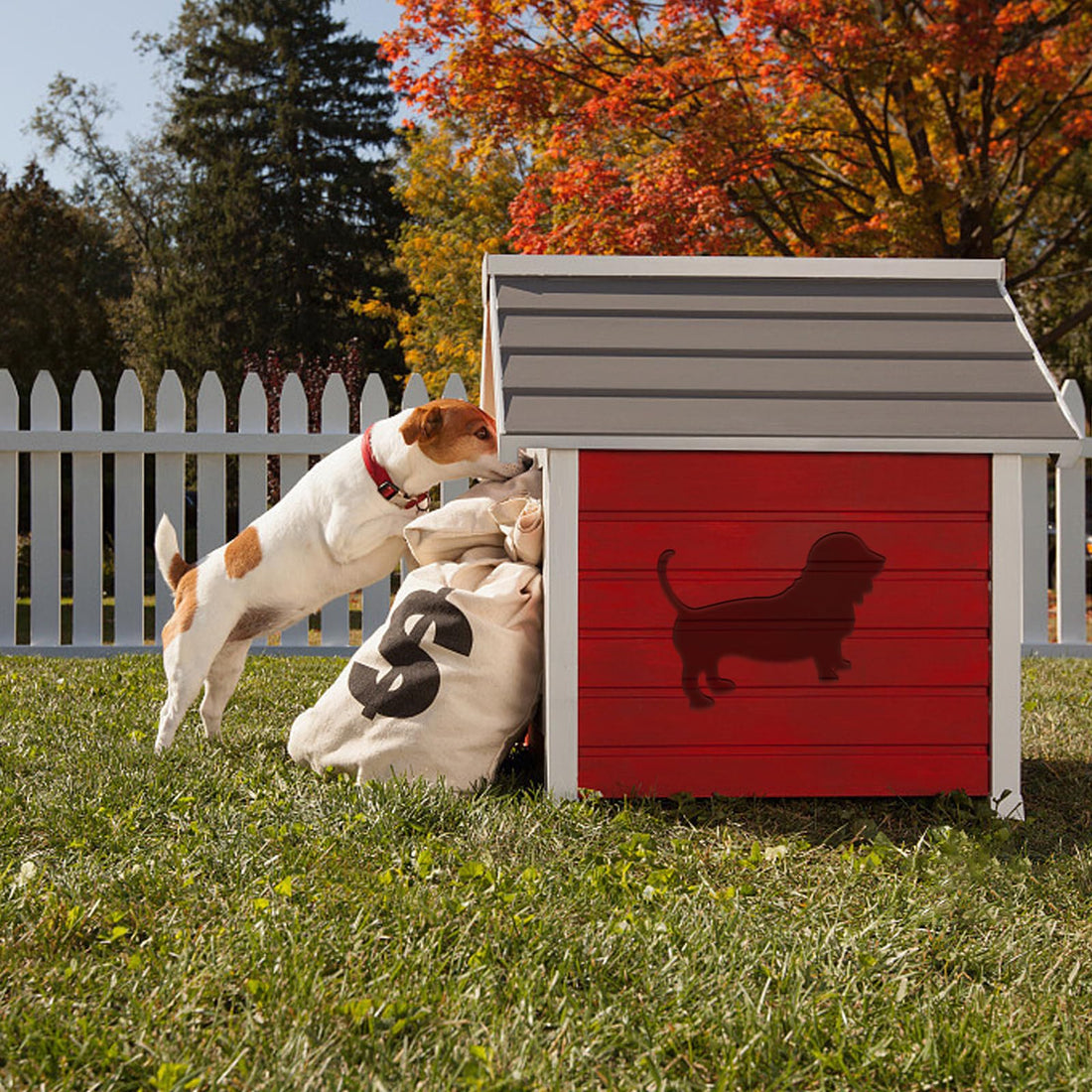 Acrylic Dog Router Inlay Template for Woodworking — Dog – view 5